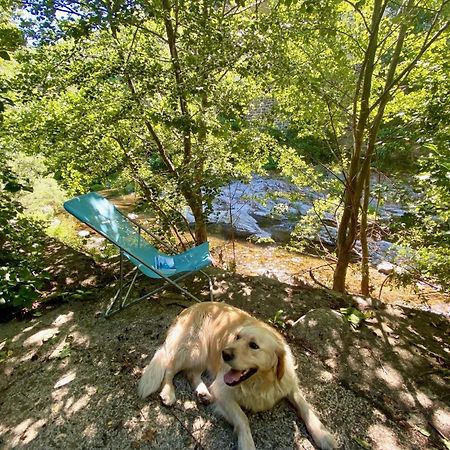 Maison Les Pieds Dans L'Eau Villefort  Zewnętrze zdjęcie